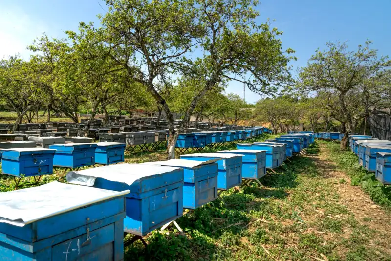 基于大数据匹配的婚恋平台用户画像构建技术解析