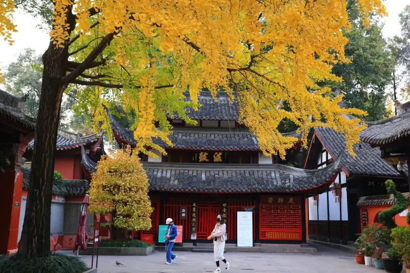 南宁婚恋服务流程解析：从审核到匹配的全周期管理